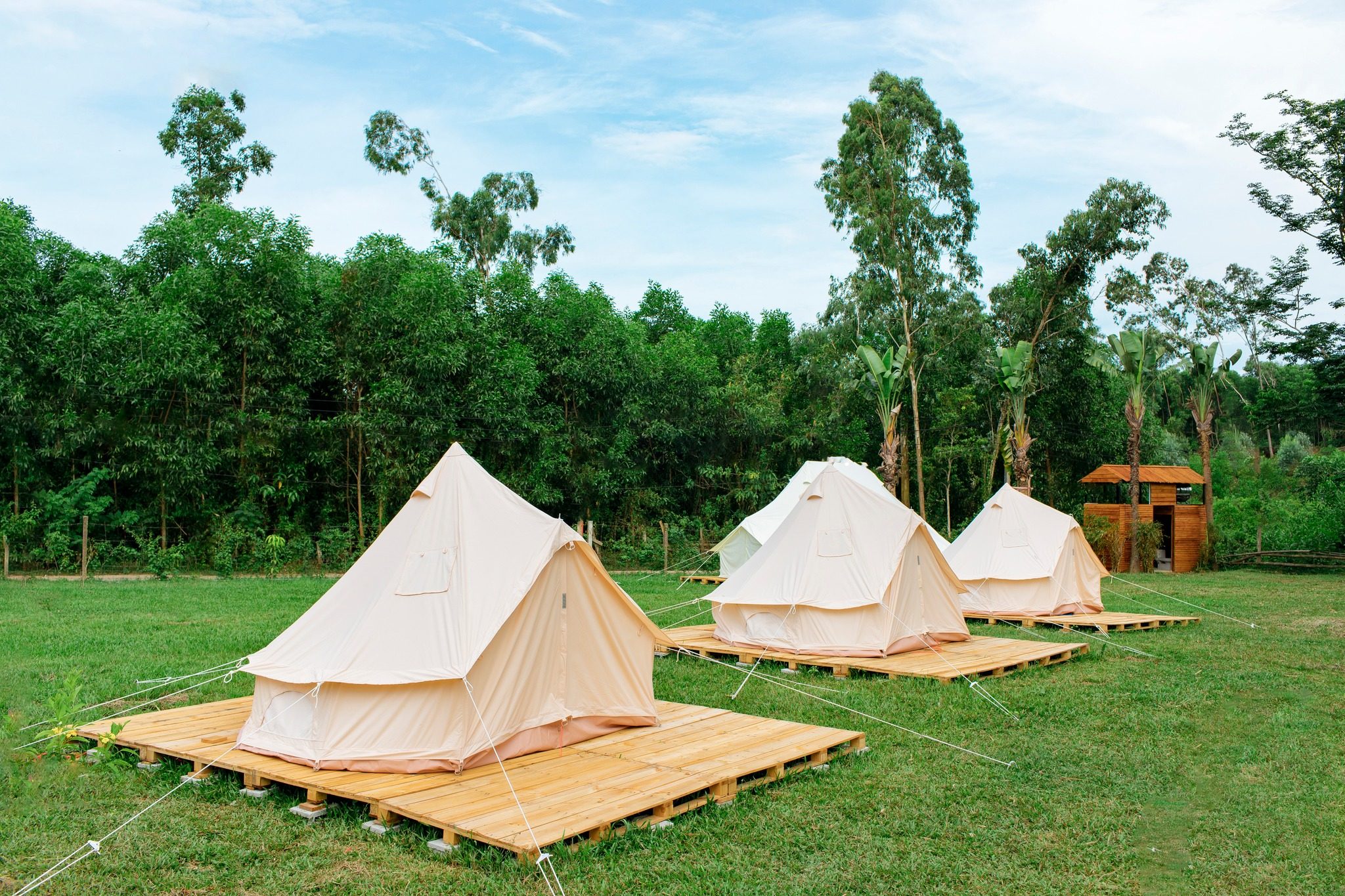 Funny Camping Background
